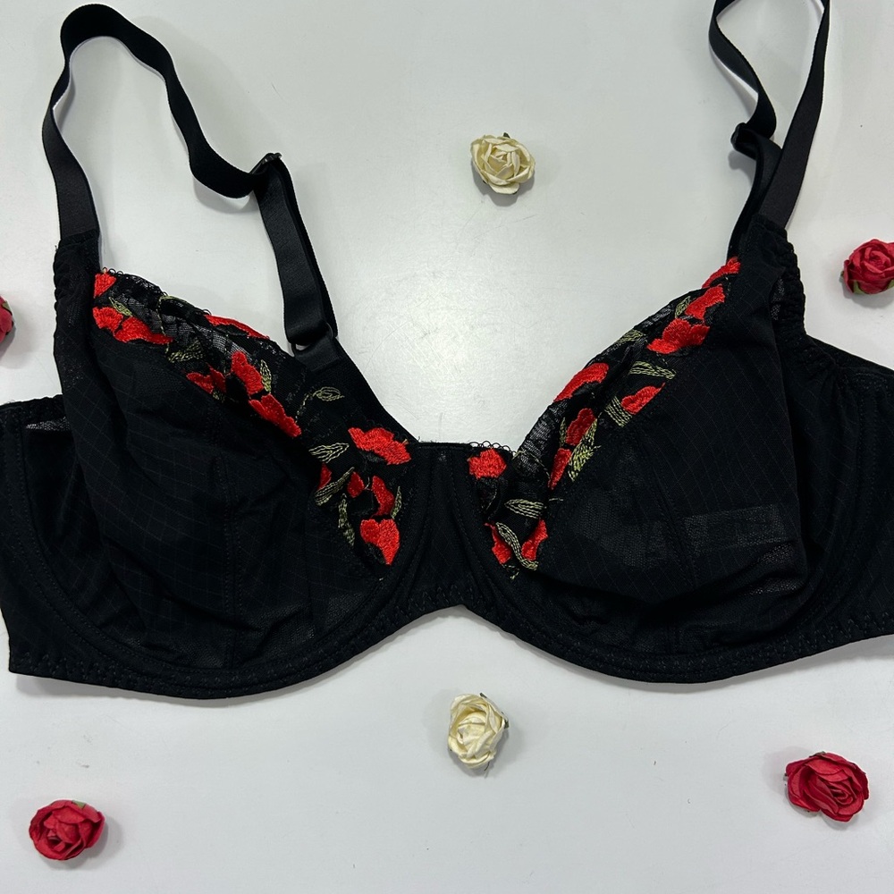 Lise Charmel Elegant Black and Red Embroidered Full Cup Bra 42D NWT